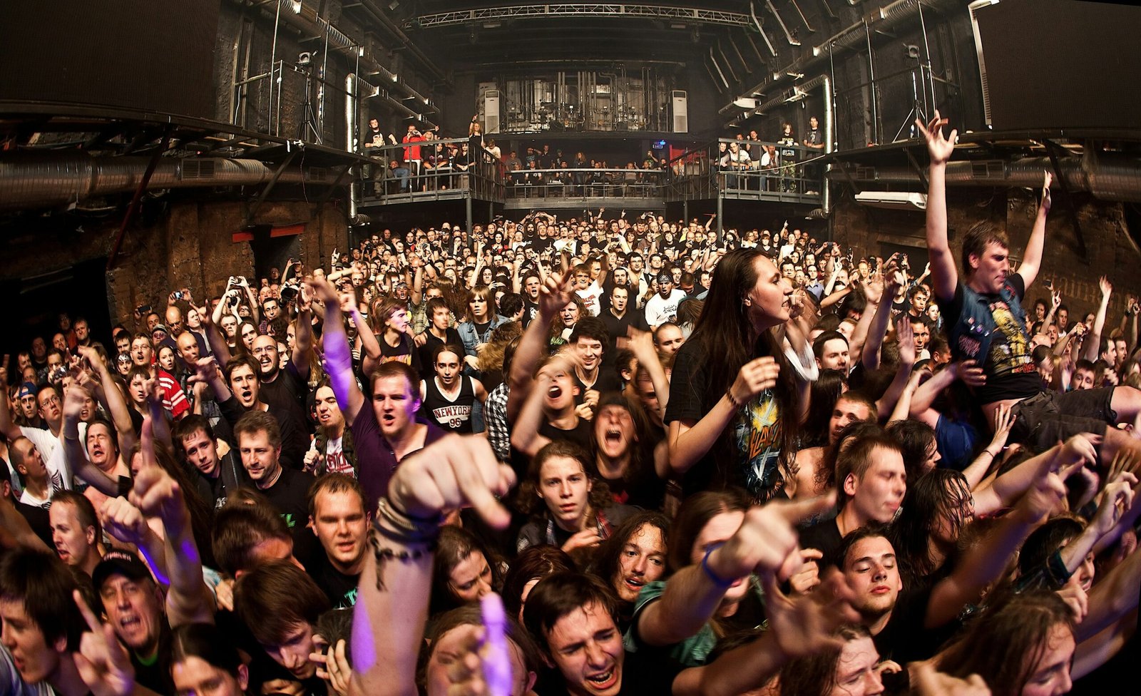 a large group of people at a concert